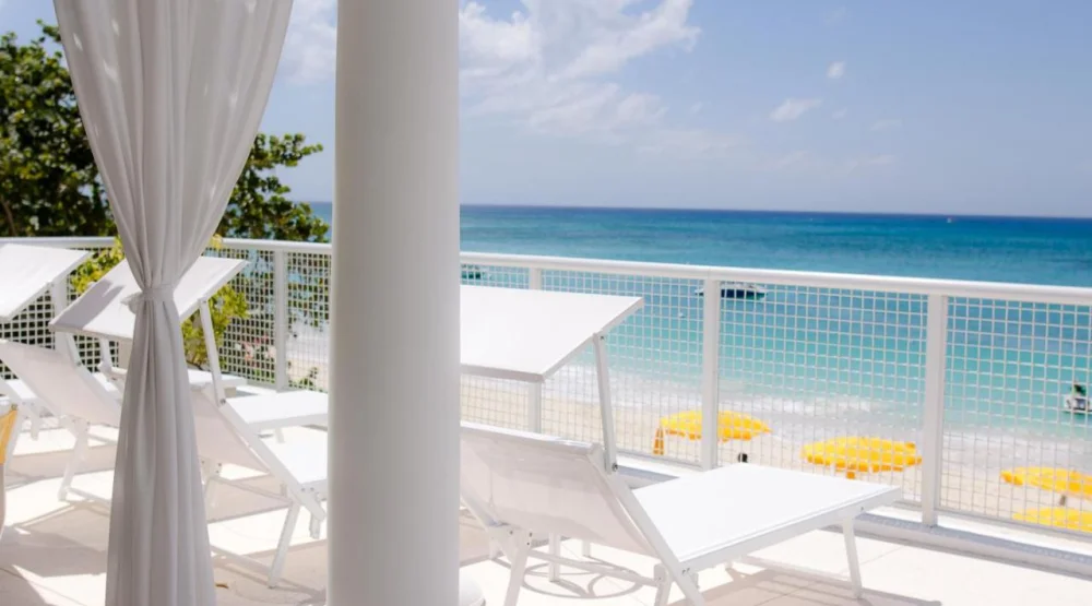 Executive Suite at Palm Heights