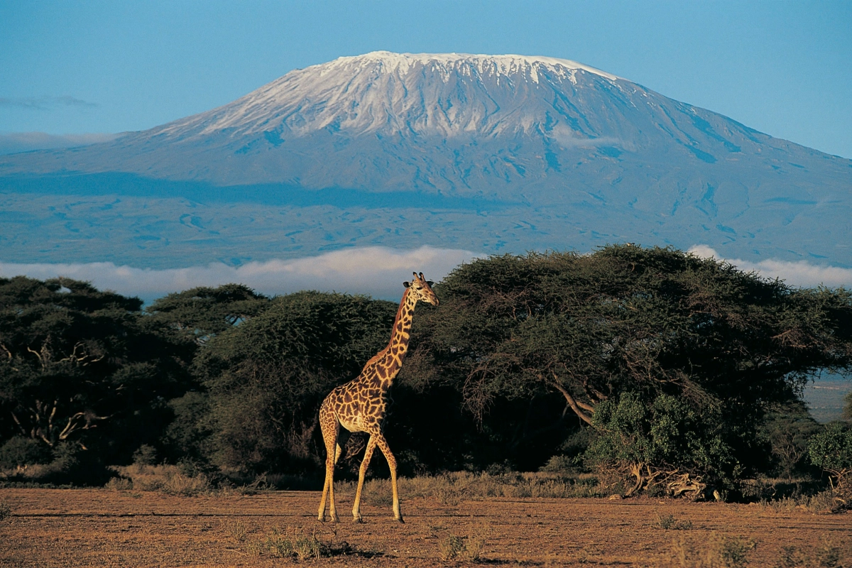 Why visit Africa