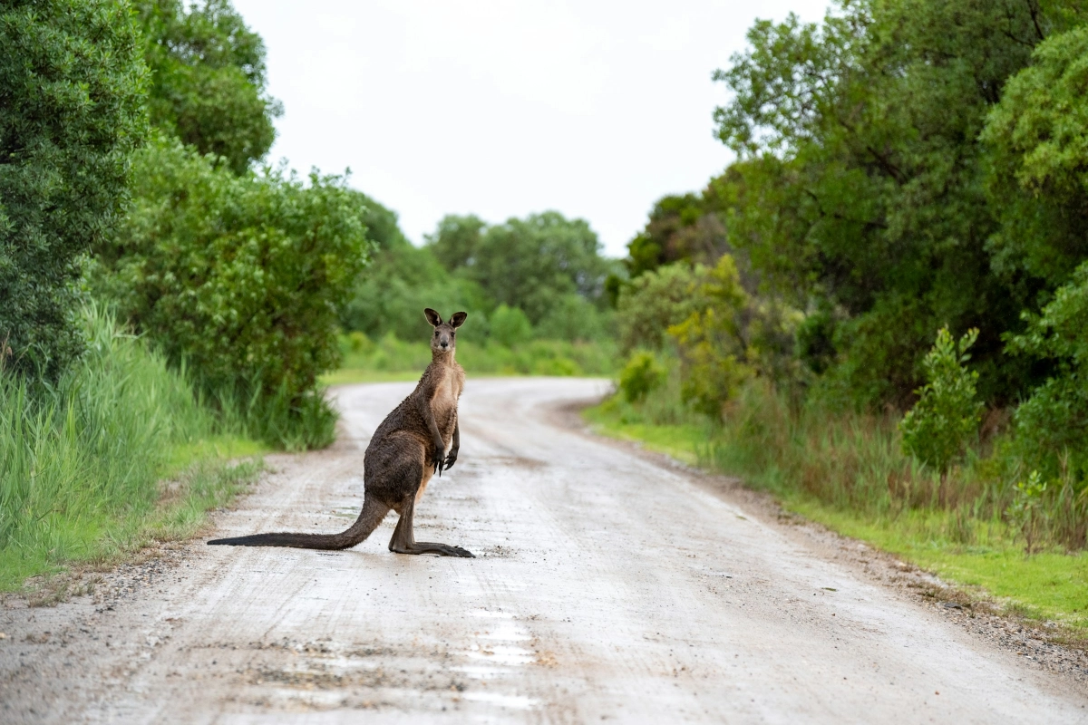 Why visit Noosa & Sunshine Coast