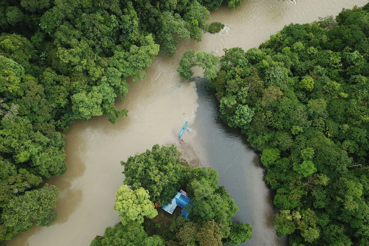 Why visit Borneo