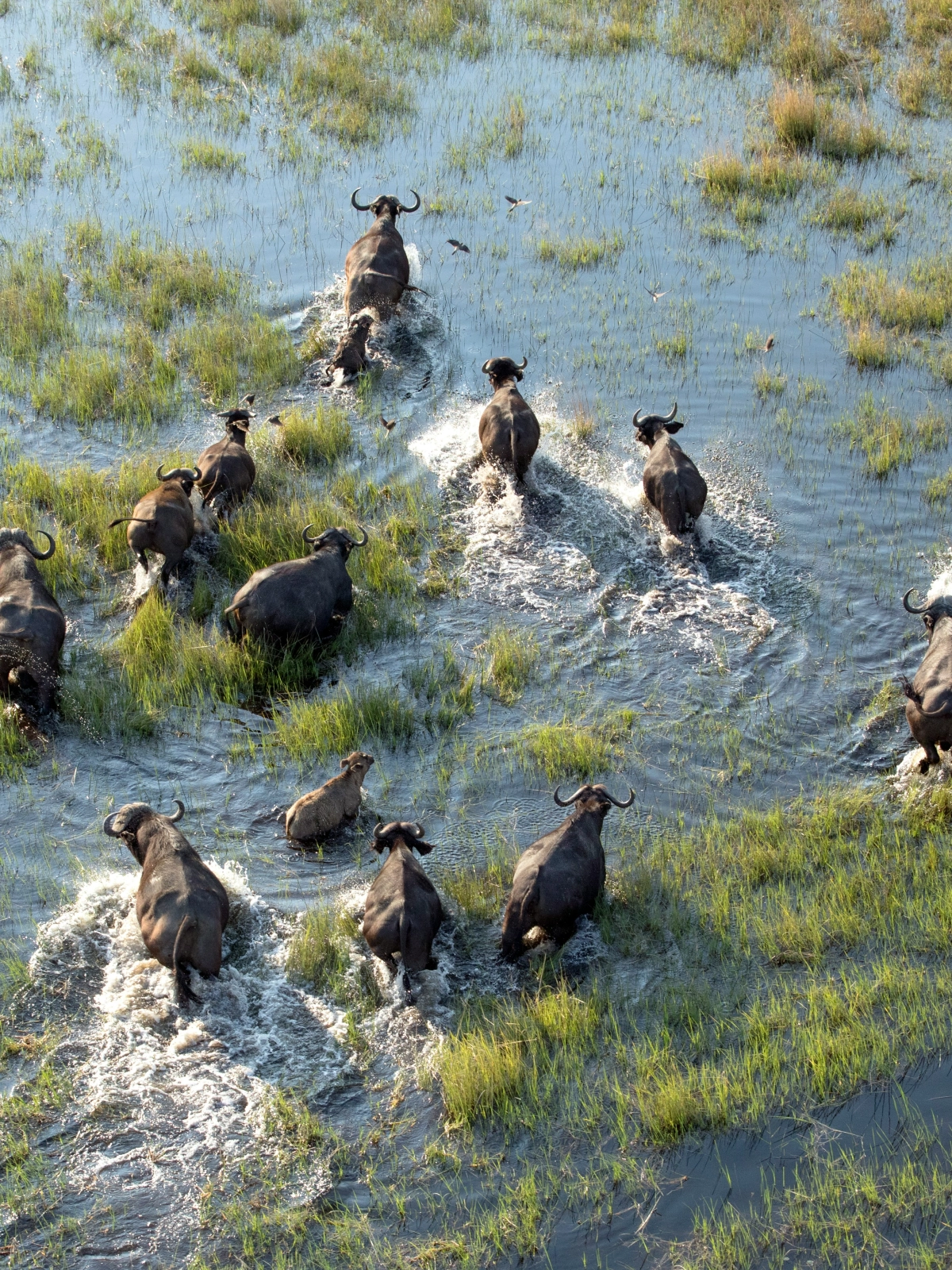 Botswana