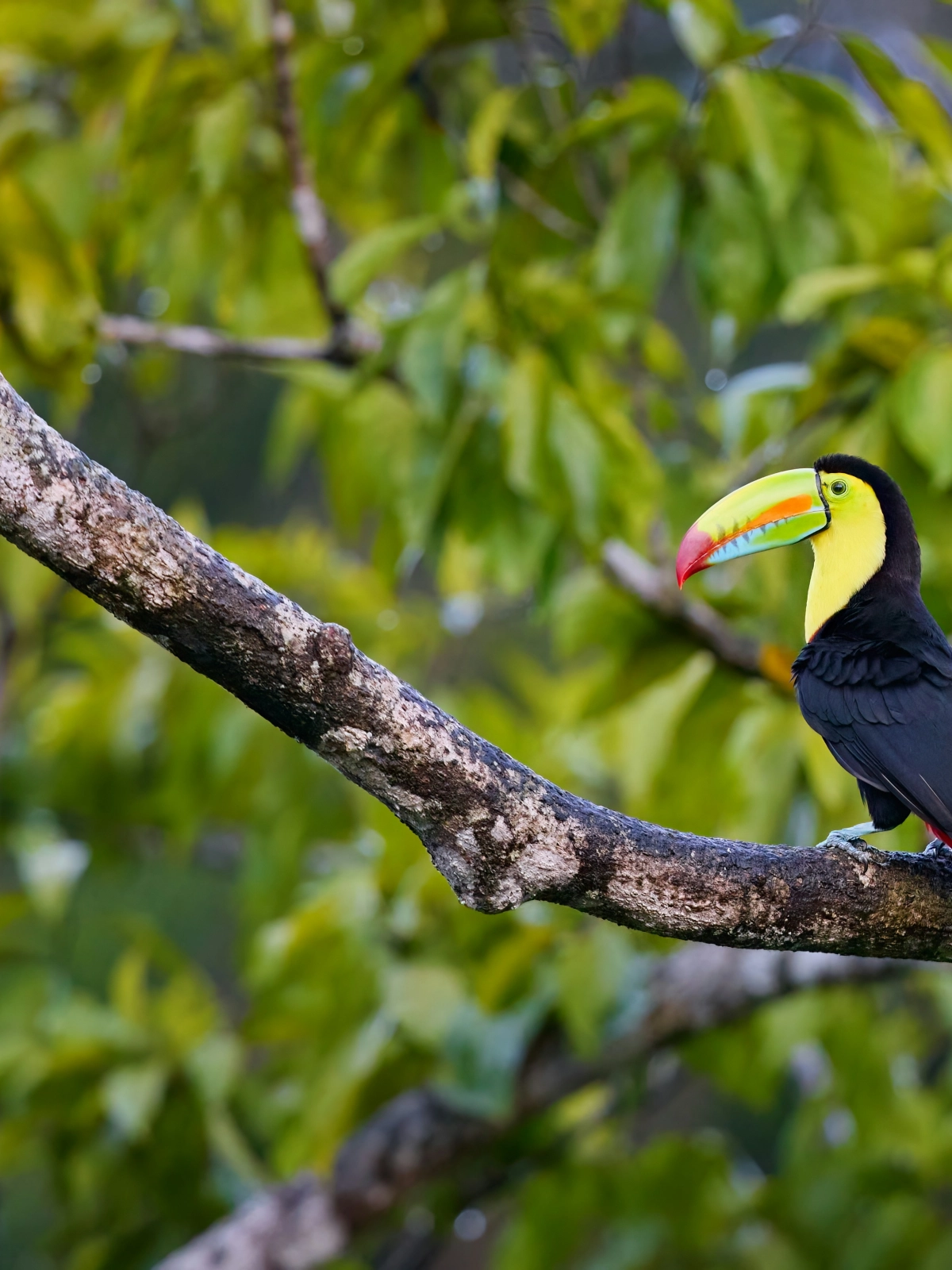 Costa Rica