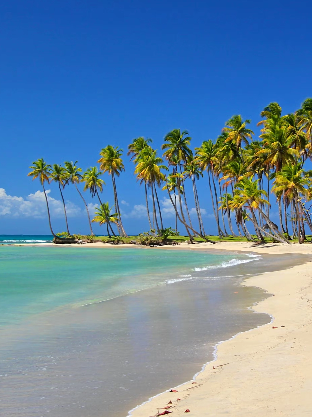 Dominican Republic