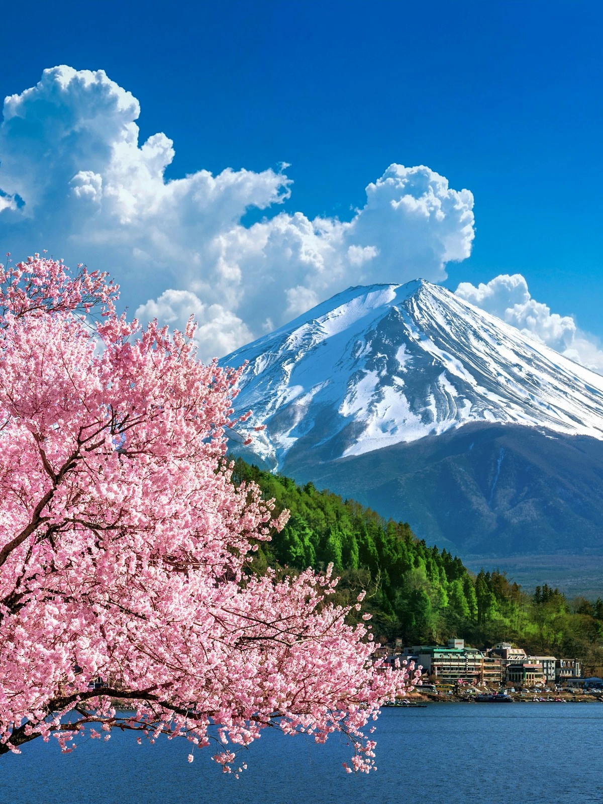 Japan