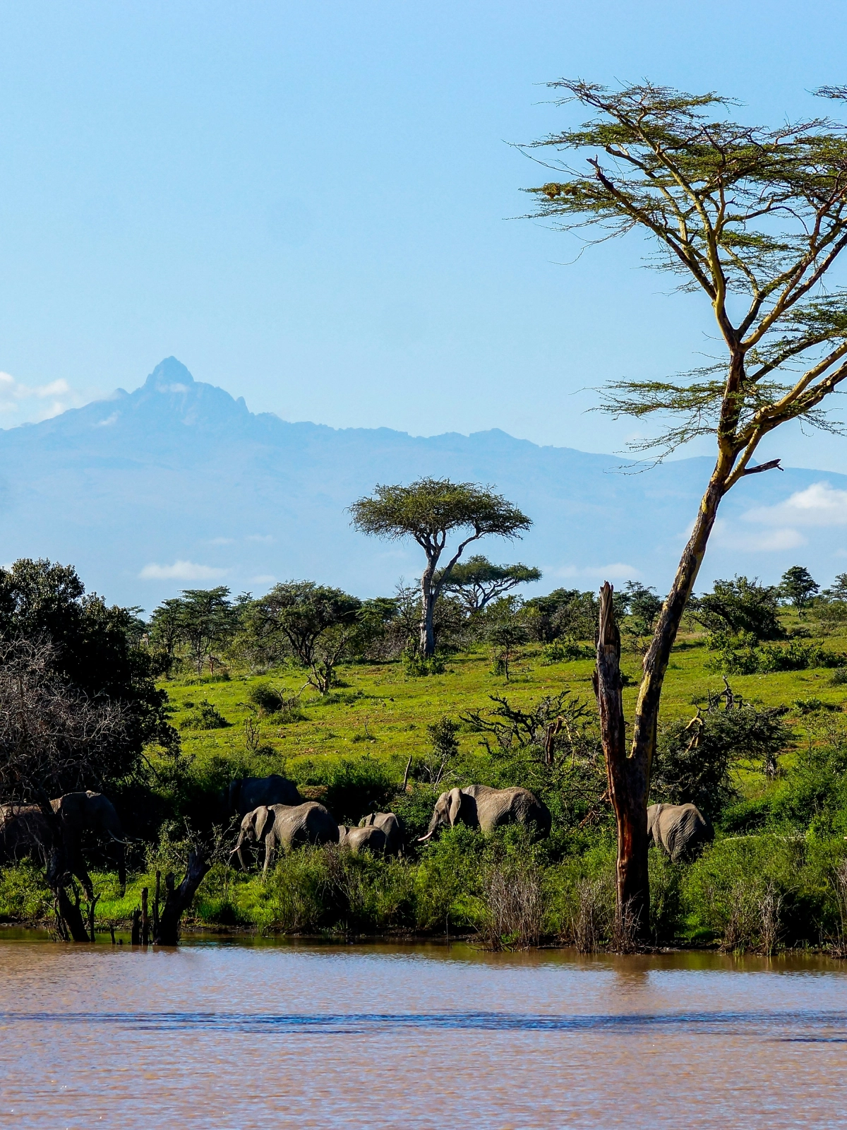 Kenya