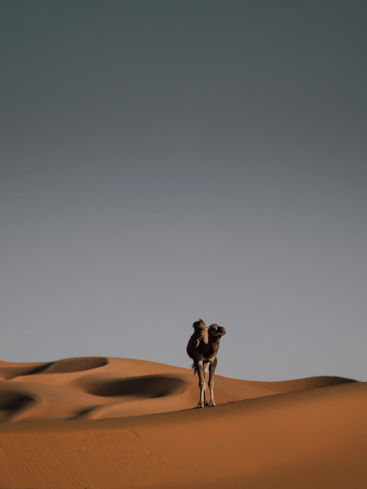 Kuwait