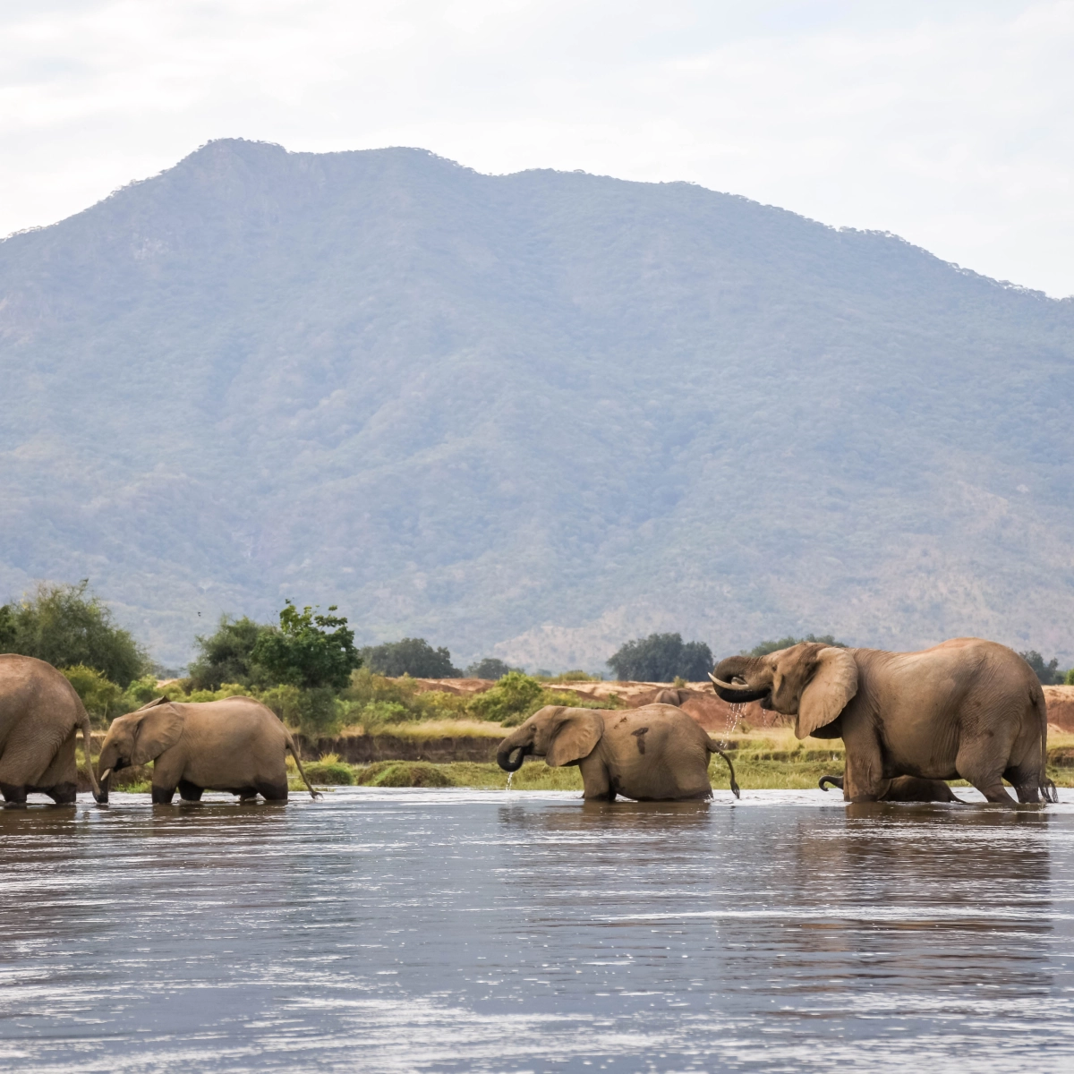 Lower Zambezi