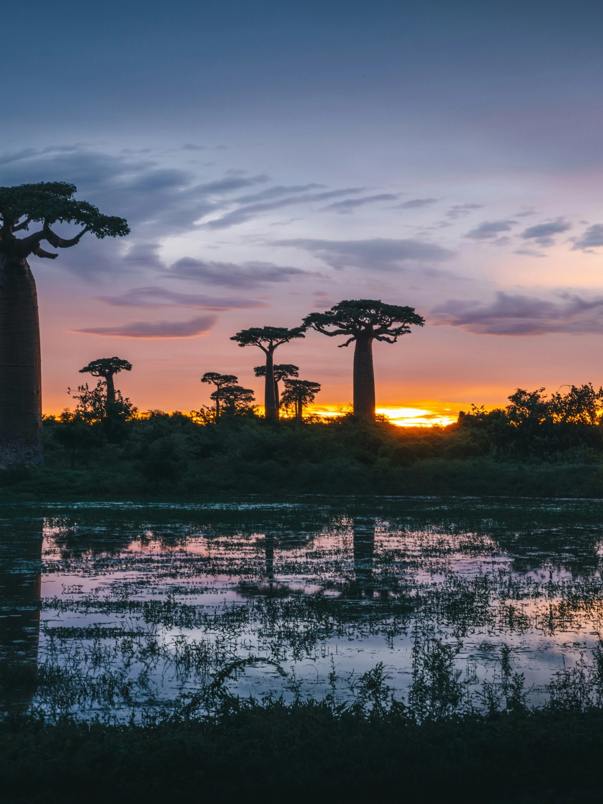 Madagascar