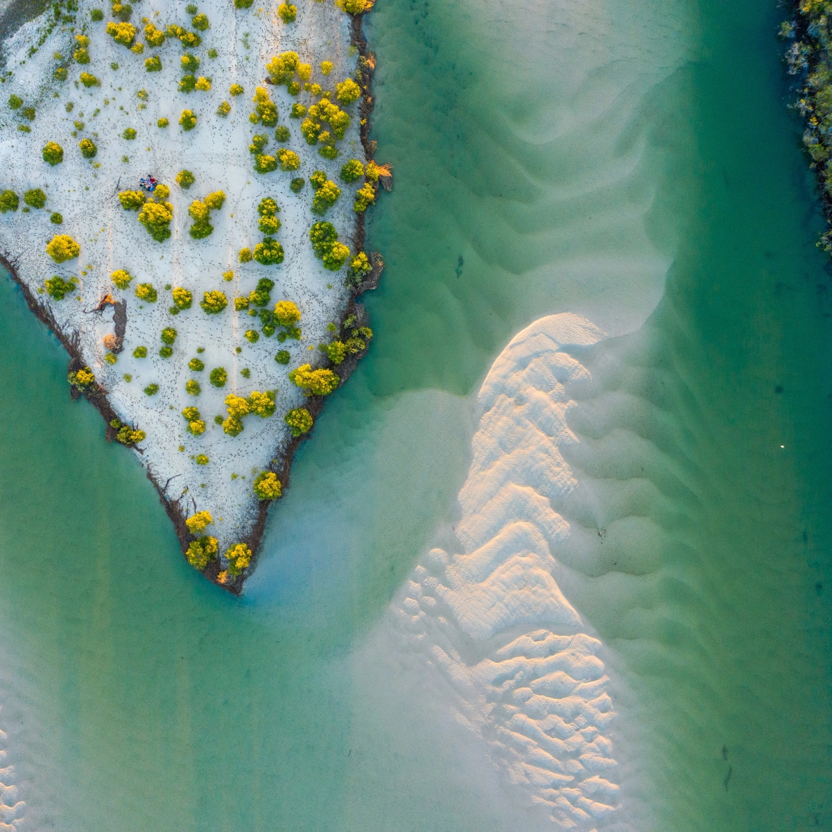 Noosa & Sunshine Coast