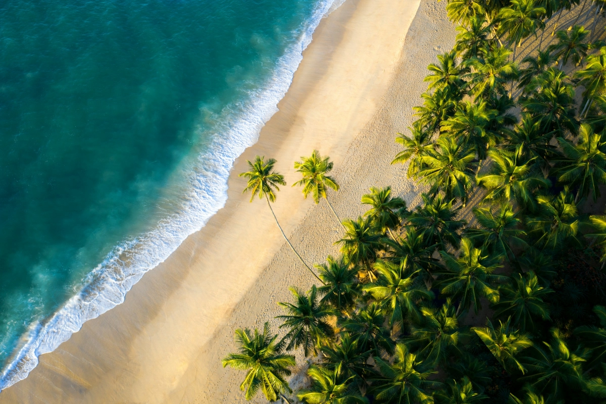 Why visit Sri Lanka
