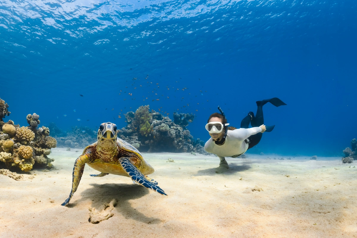 Why visit St Kitts & Nevis
