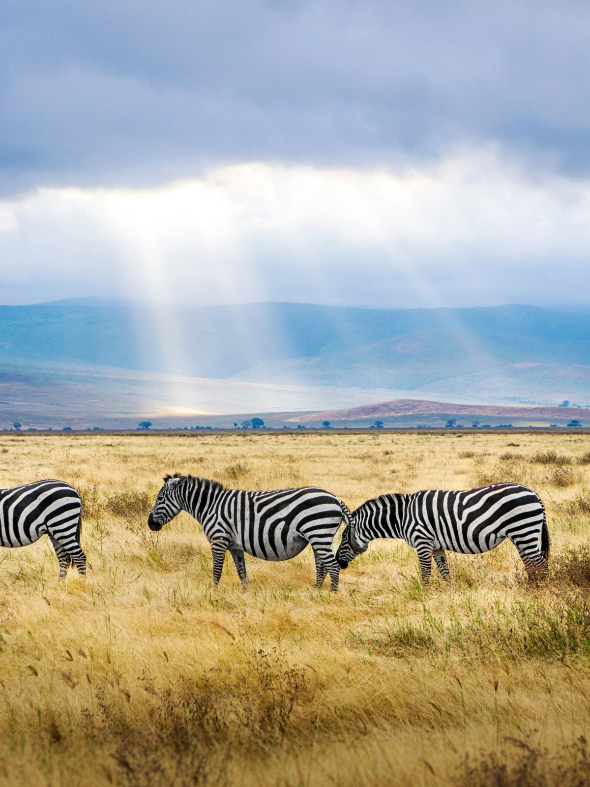 Tanzania