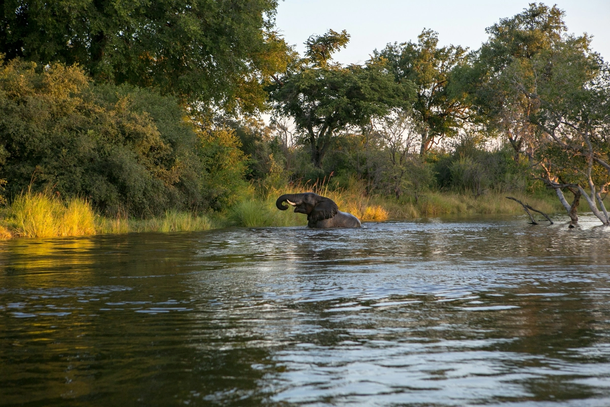 Why visit South Luangwa