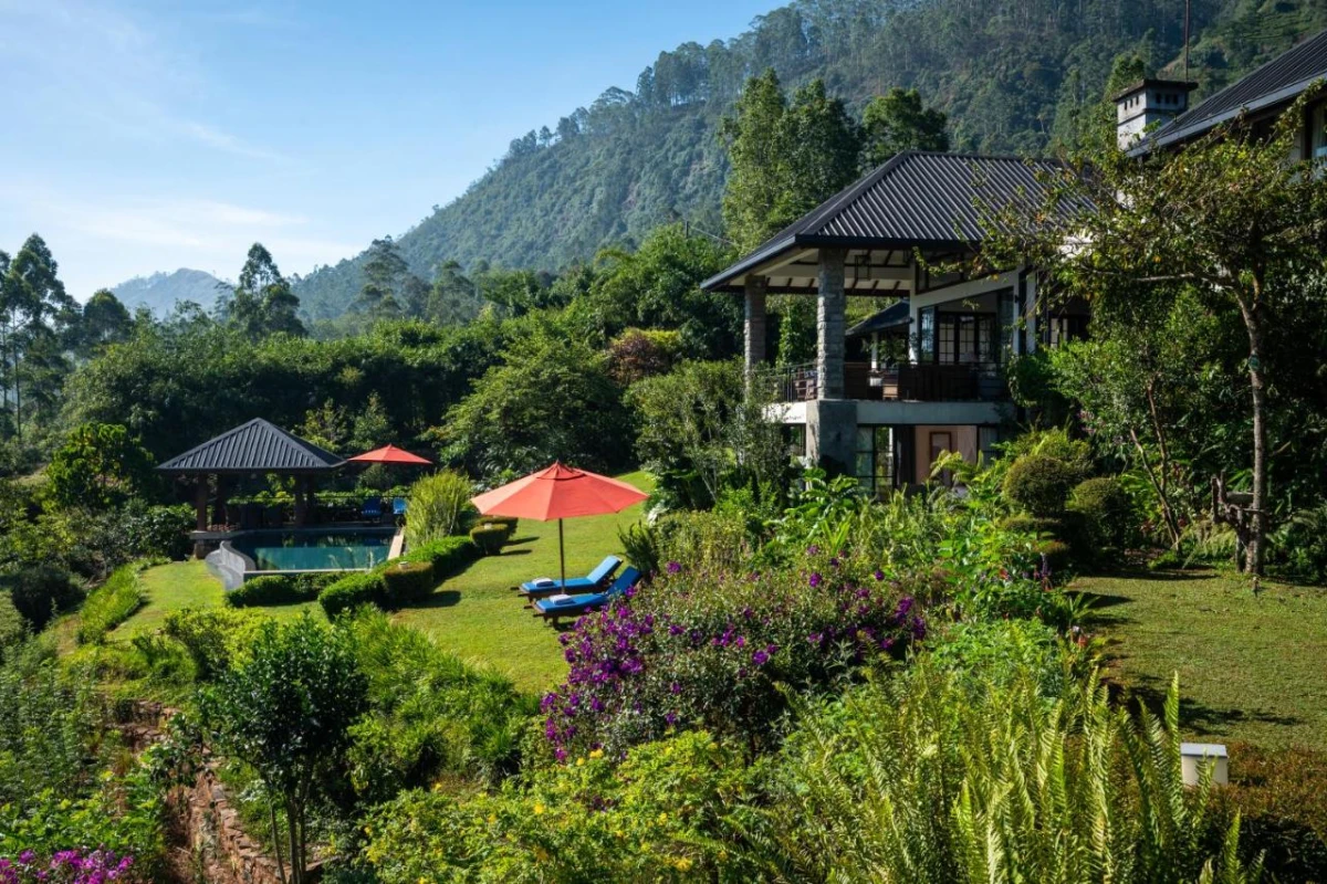 Camellia Hills