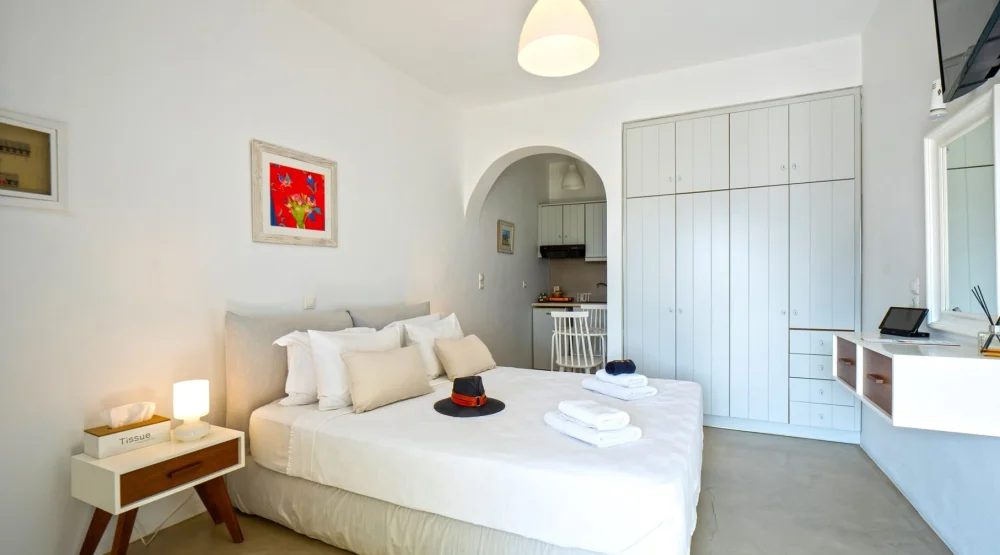 Premium Double/twin Studio with Castle View at Kallichoron Art Boutique Hotel