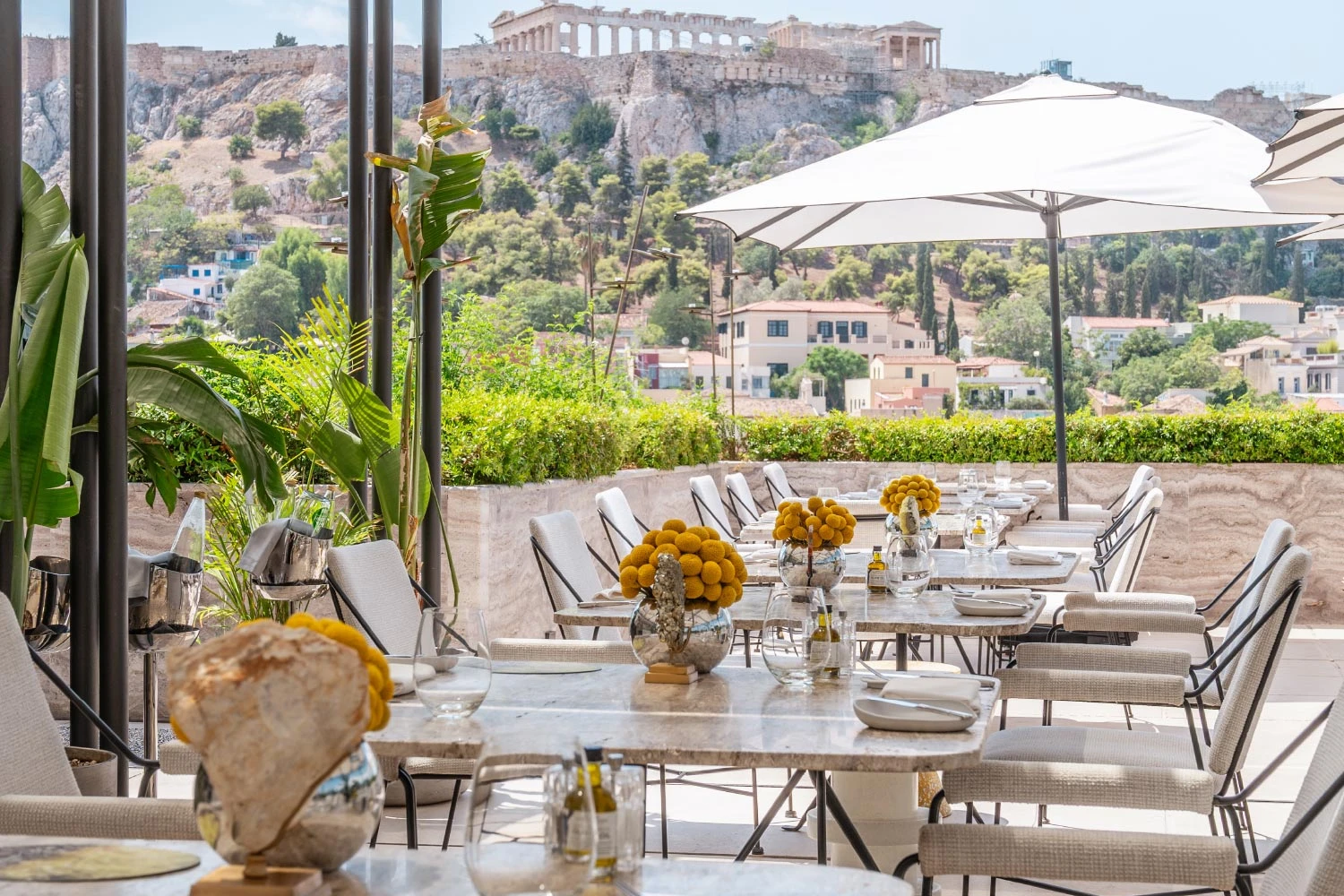 The Dolli at Acropolis, A Hotel to Live