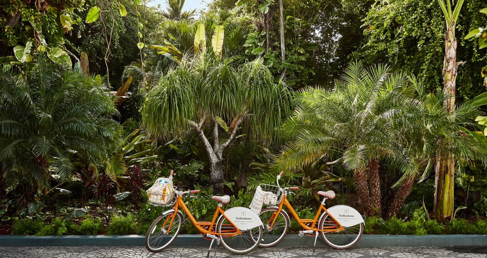 Malliouhana, Auberge Resorts Collection