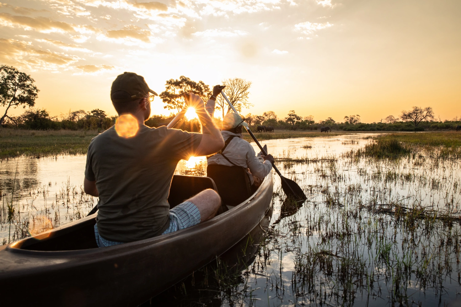 Selinda Explorers Camp