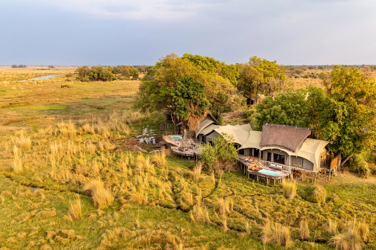 Duba Plains Suite