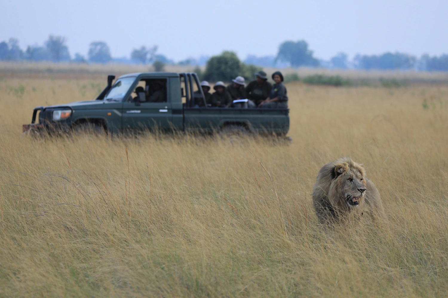Duba Plains Suite