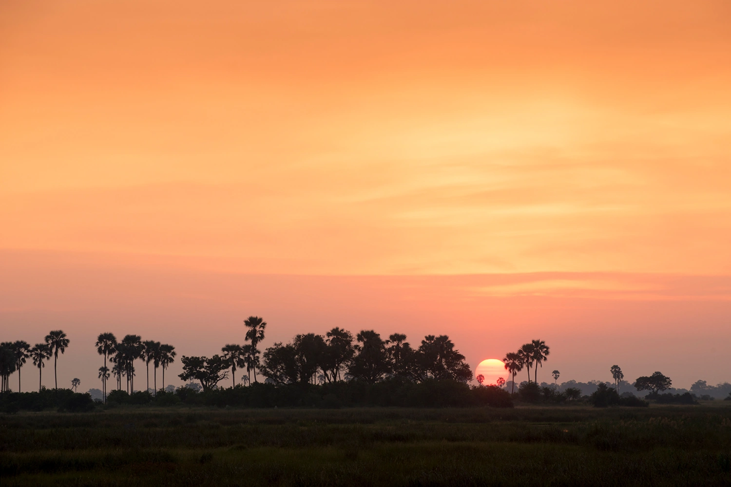 Duba Plains Suite