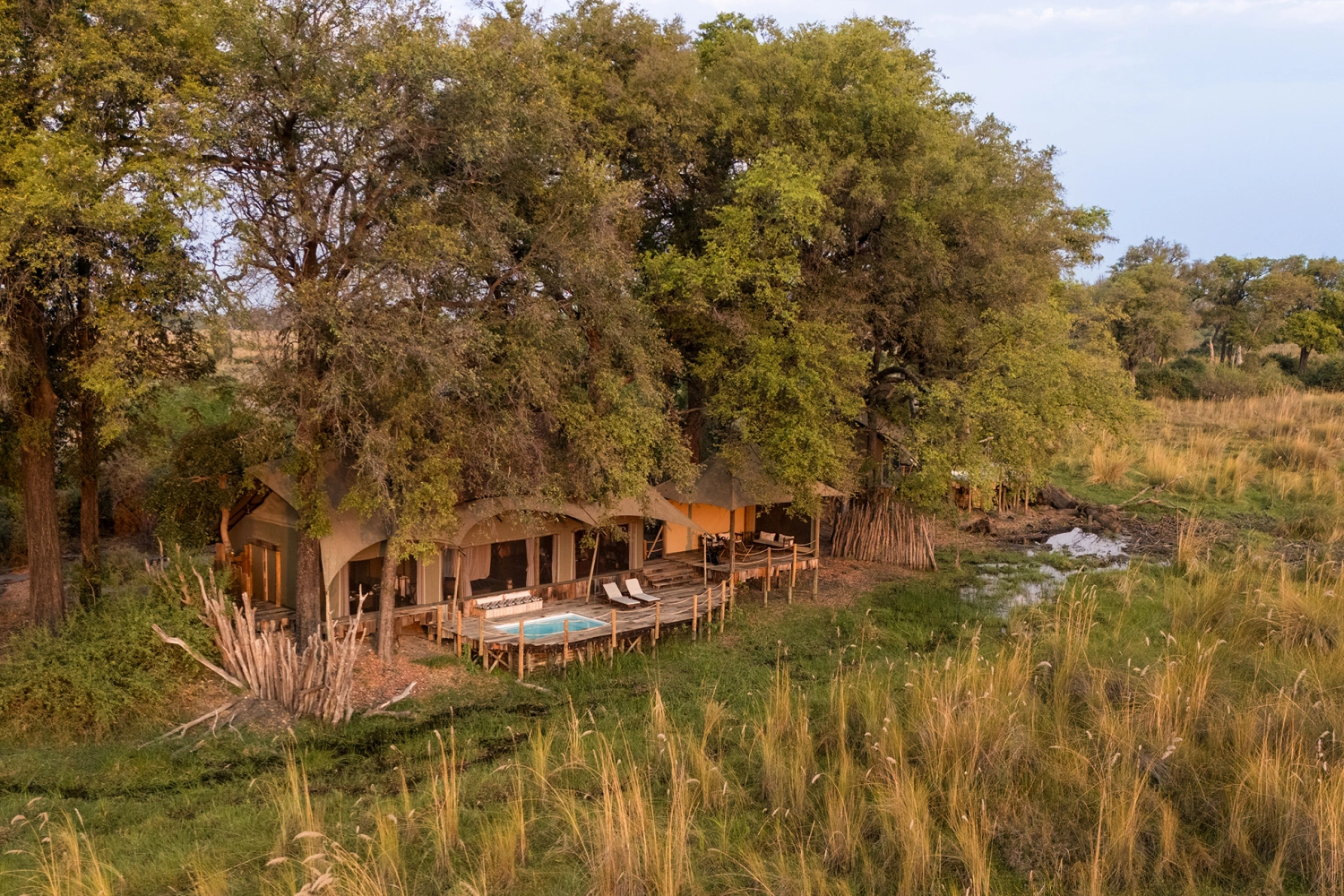 Duba Plains Camp