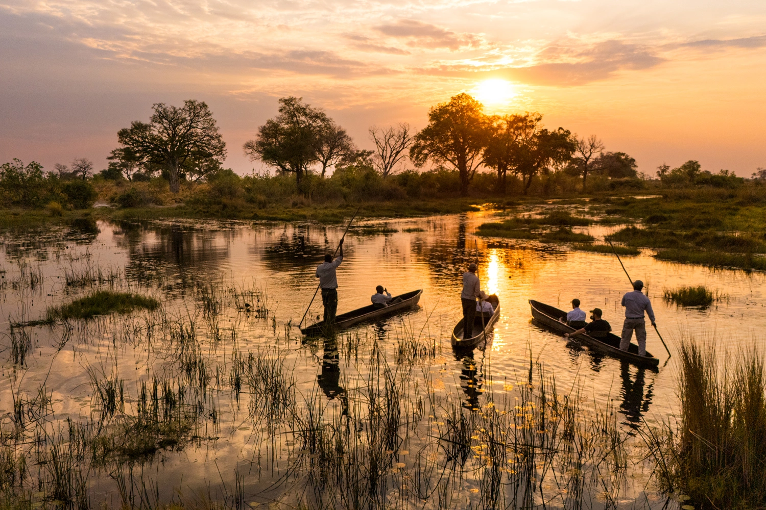 Duba Plains Camp