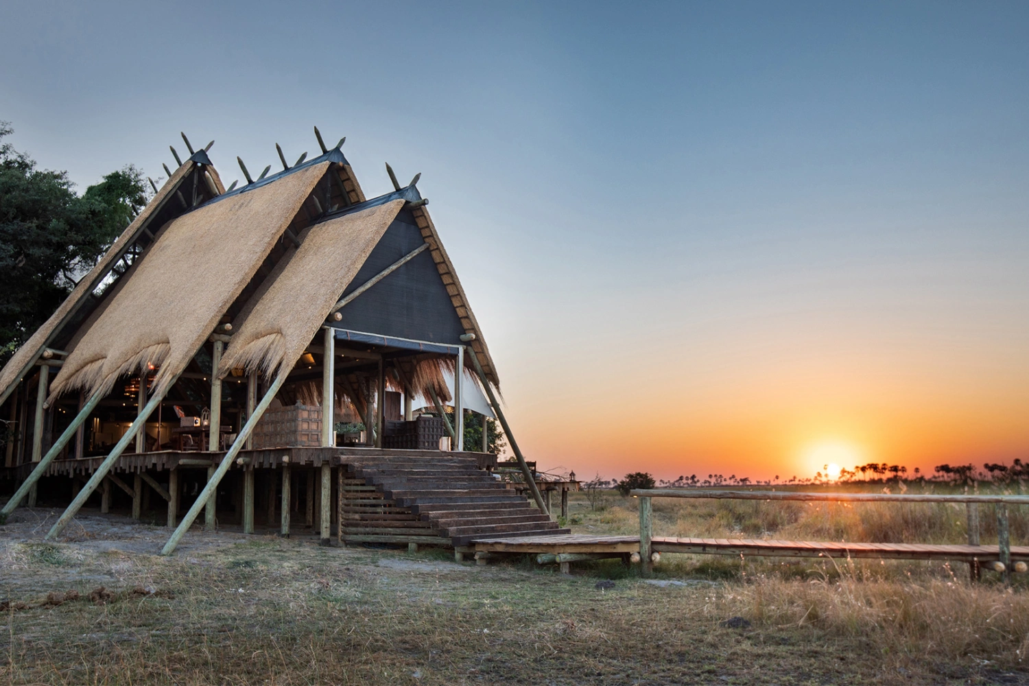 Selinda Camp