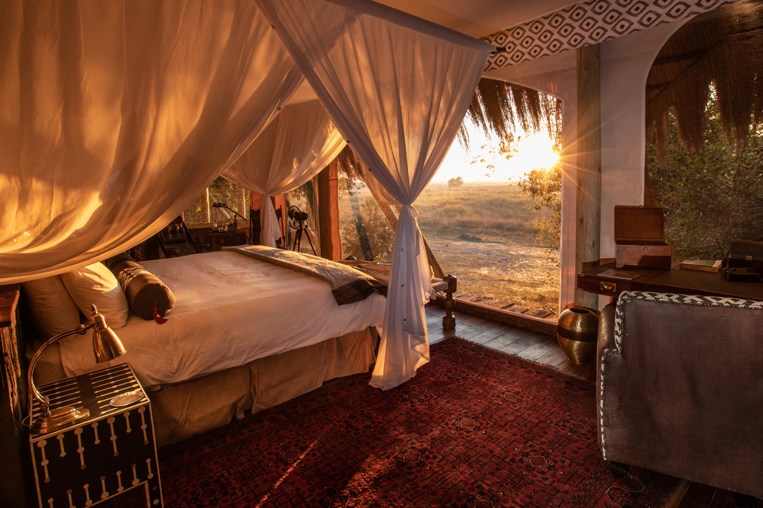 Selinda Camp