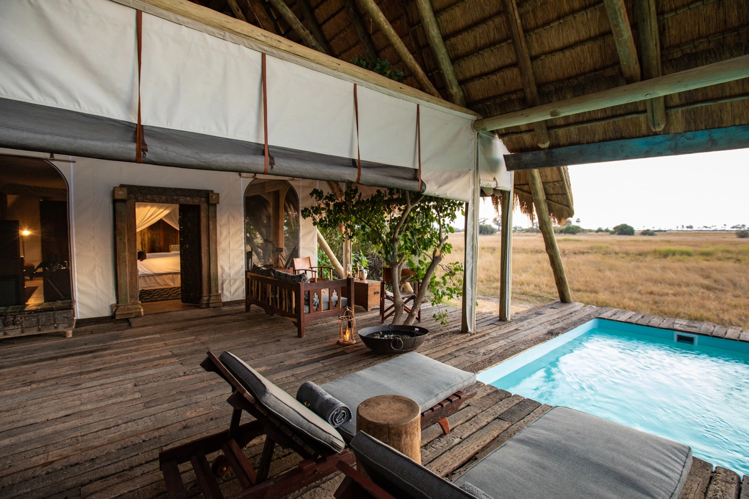 Selinda Camp