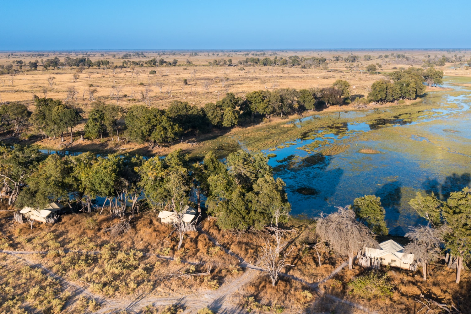 Duba Explorers Camp