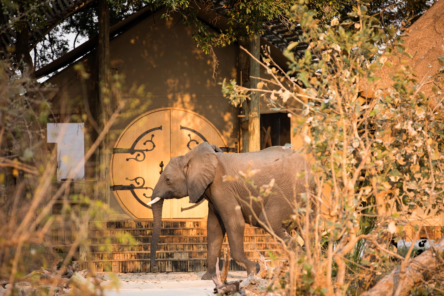 Sitatunga Private Island Suite