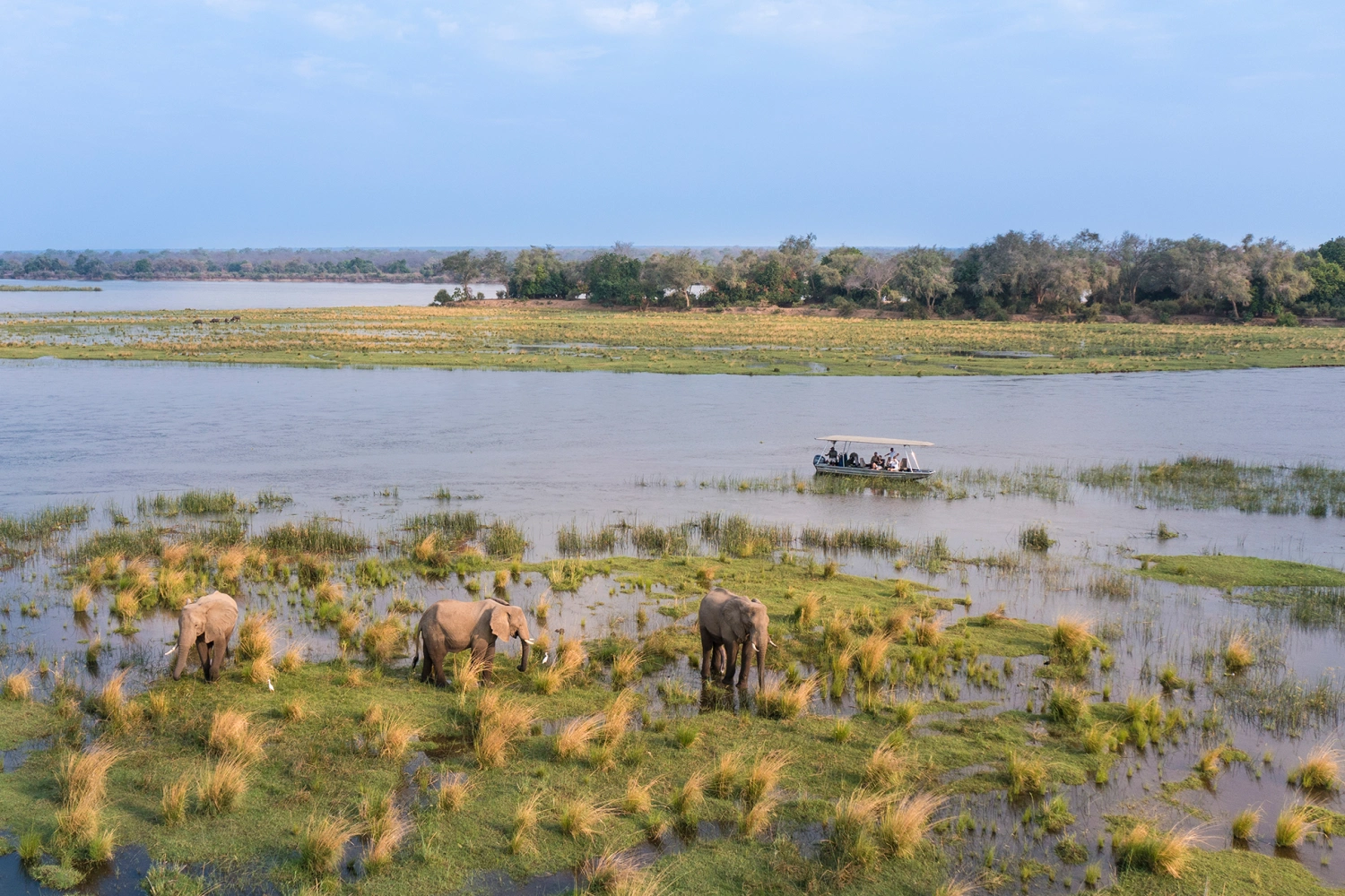 Tembo Plains Camp
