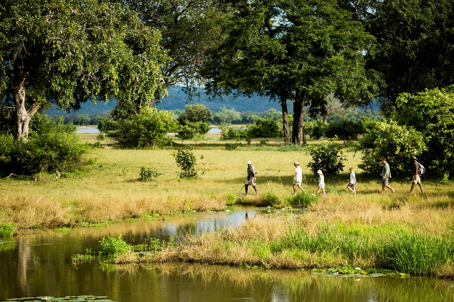 Tembo Plains Camp