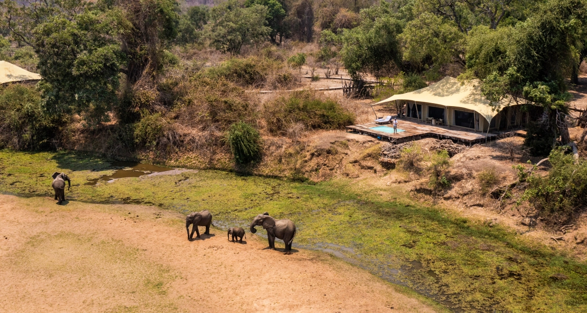Tembo Plains Camp