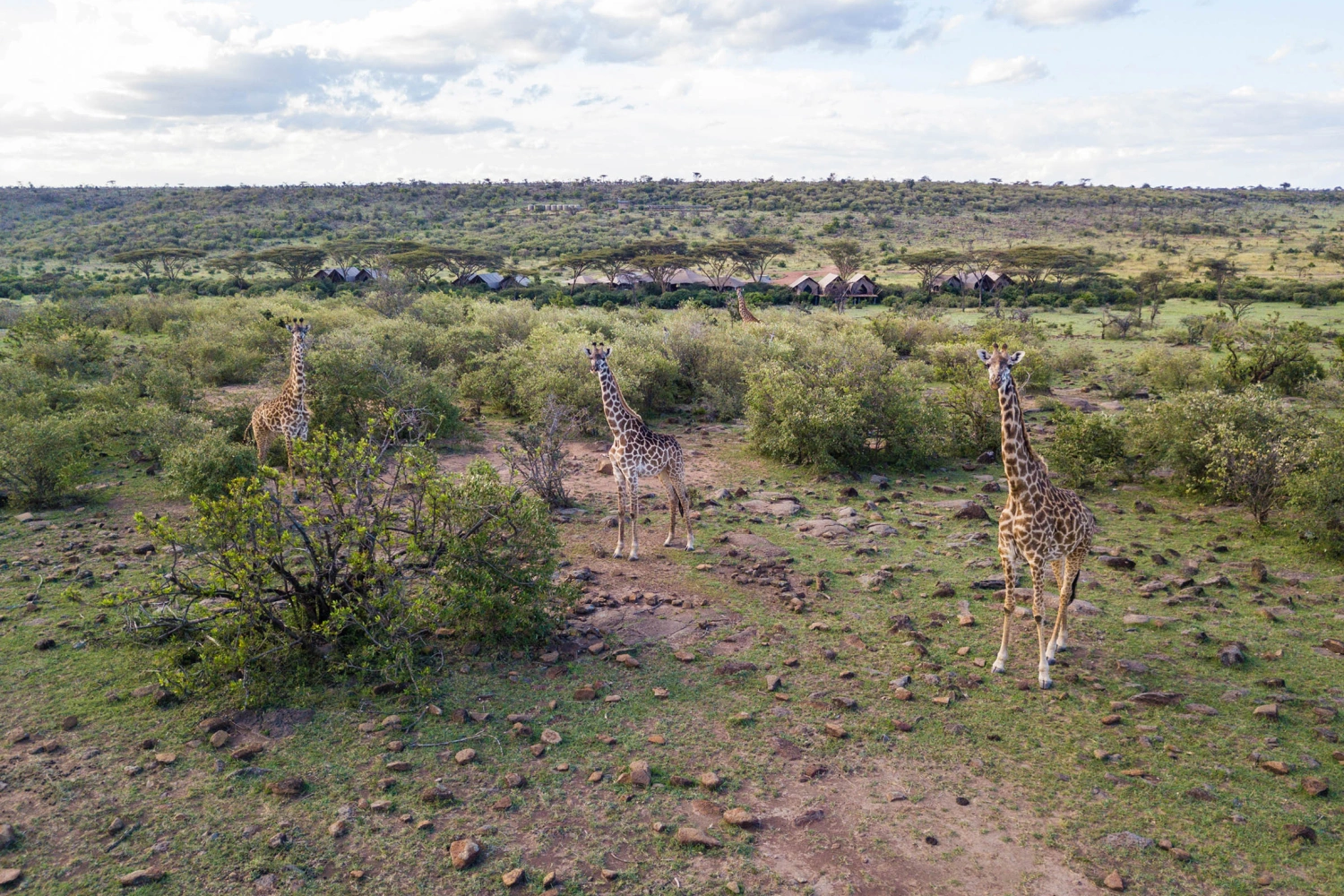 Mara Nyika Camp