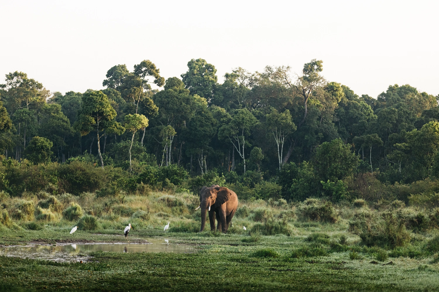 Mara Nyika Camp