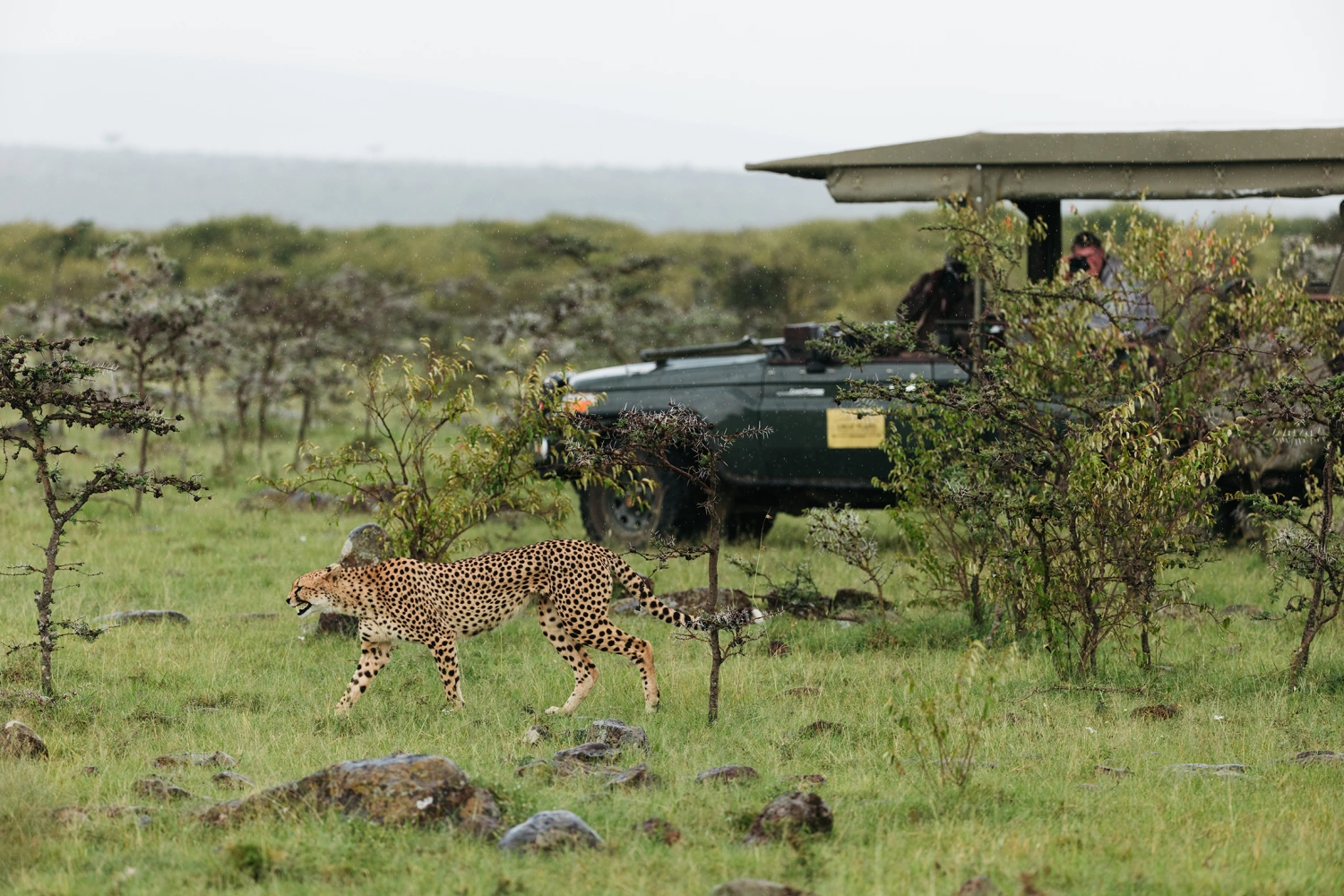The Sambuk Suite at Mara Nyika