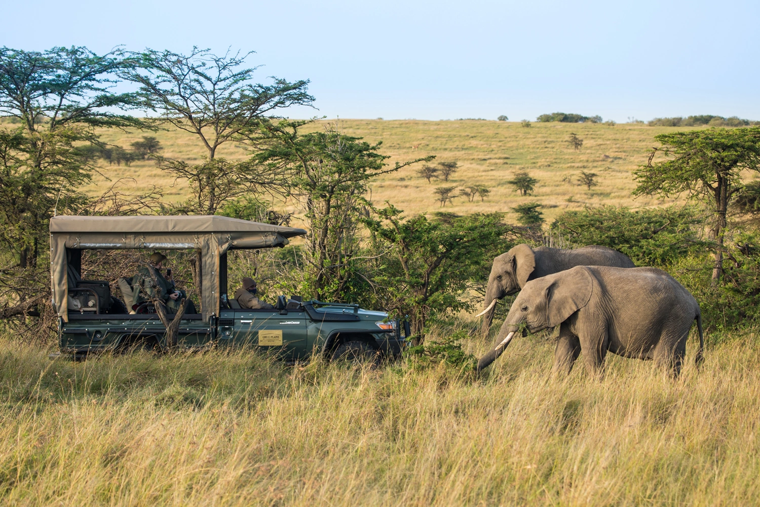 Mara Plains Camp