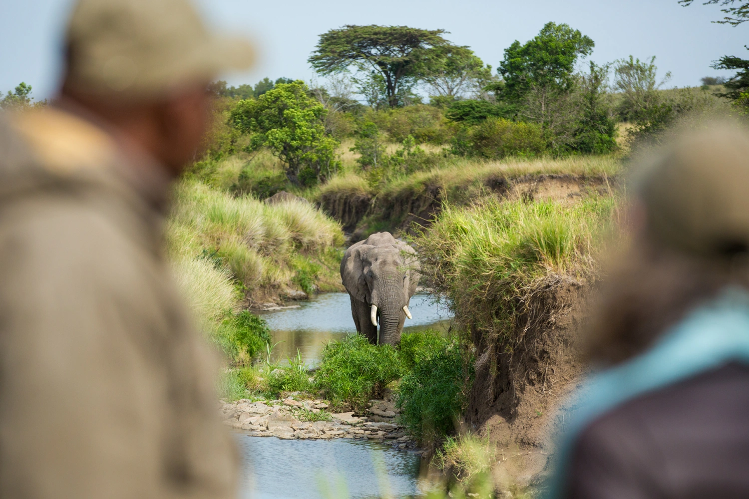 The Jahazi Suite at Mara Plains