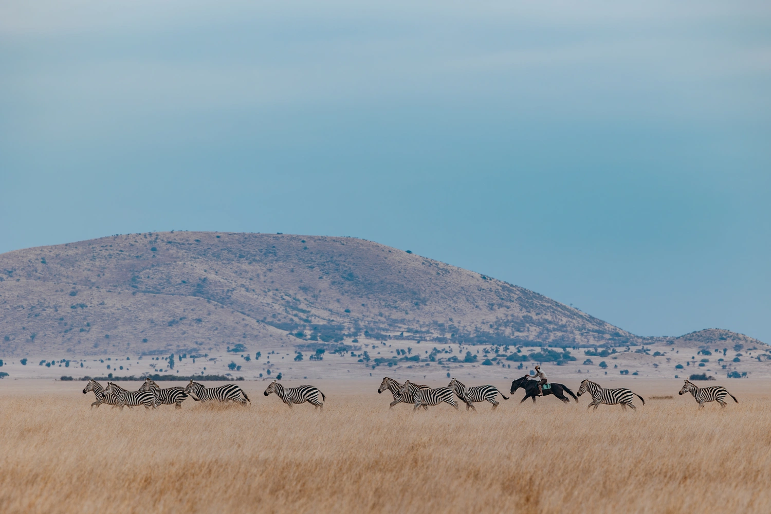 Ol Donyo Lodge