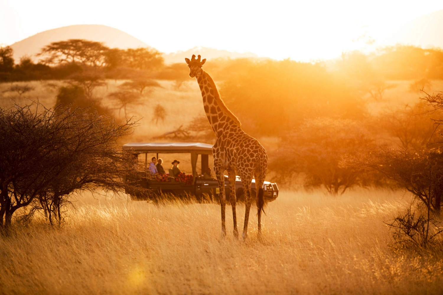 Ol Donyo Lodge