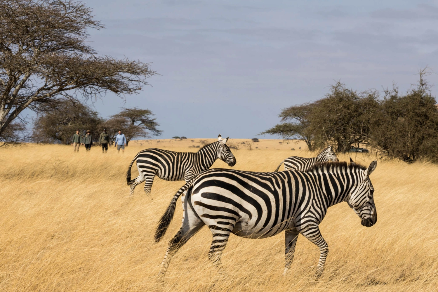 Ol Donyo Lodge