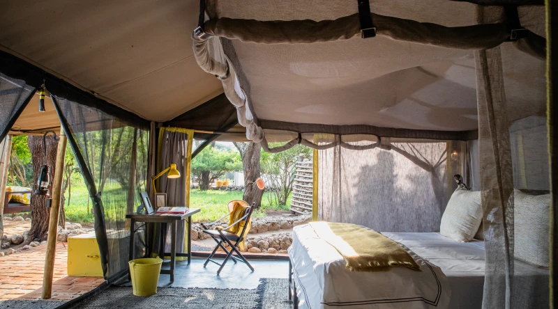 Luxury Vintage Tent at Forest Chem Chem