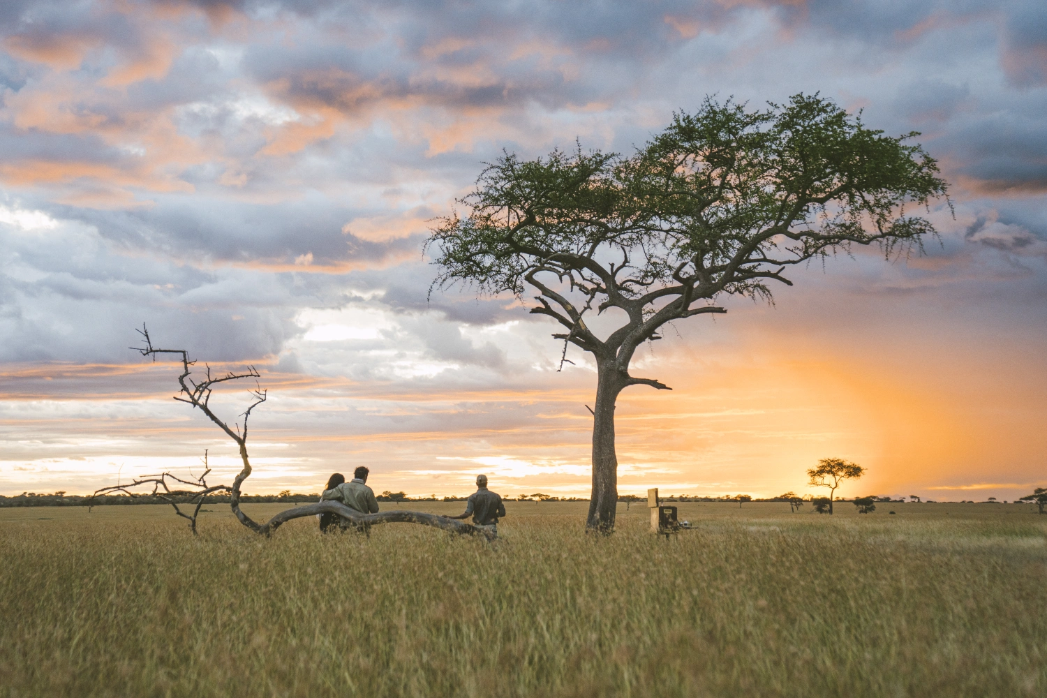 Mila Tented Camp