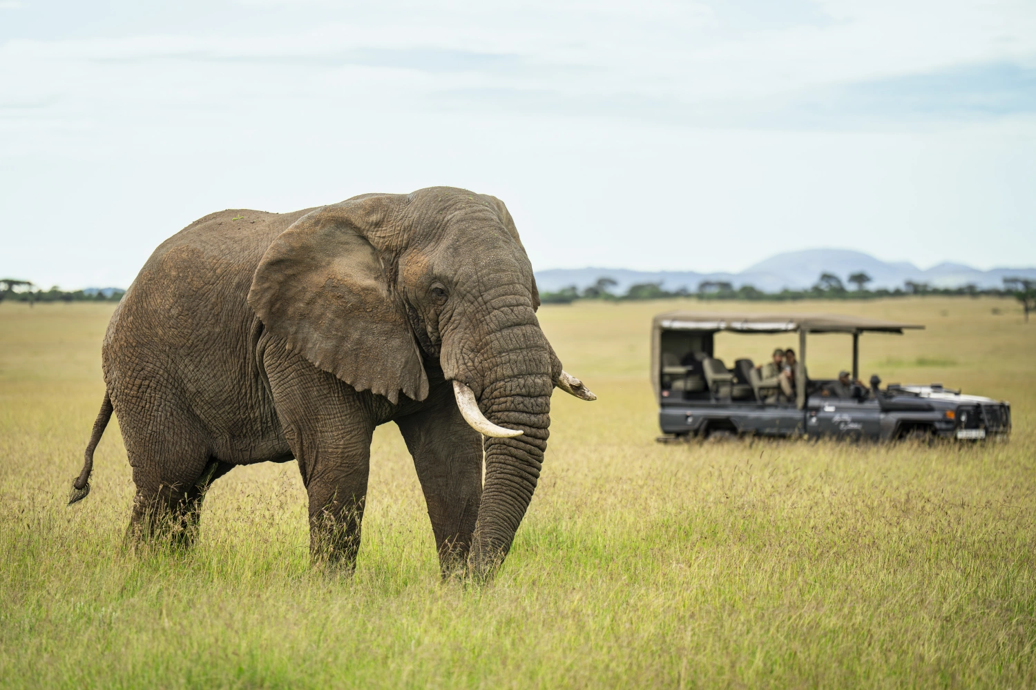 Mila Tented Camp