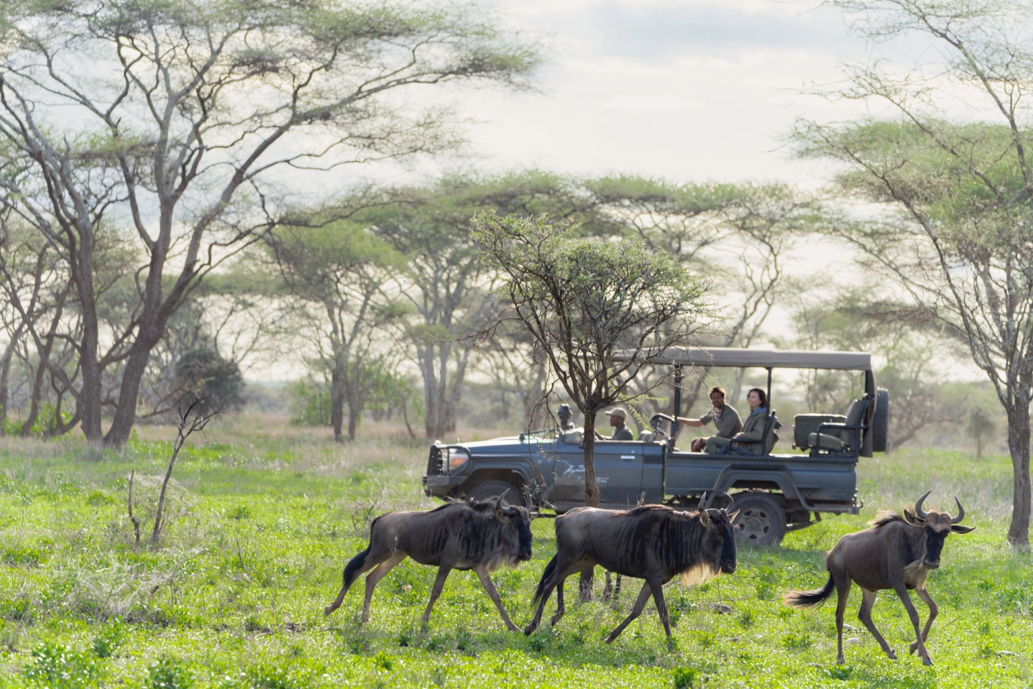 Nyasi Tented Camp