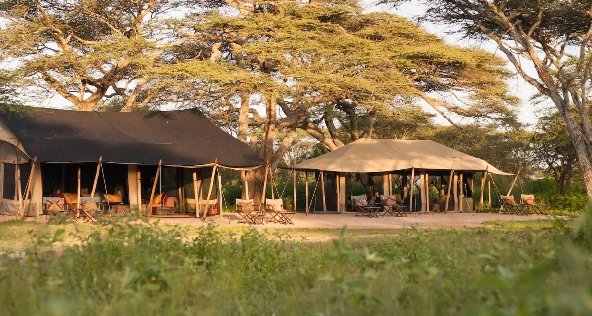 Nyasi Tented Camp