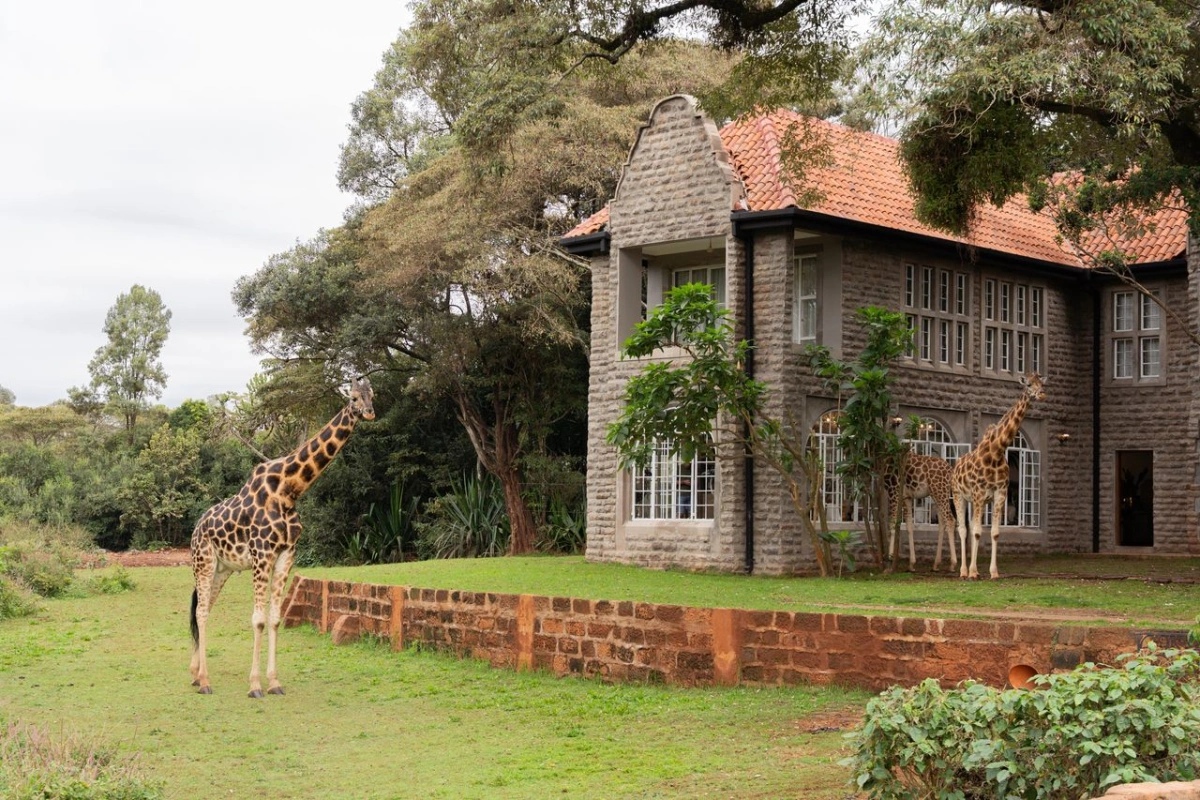 Giraffe Manor