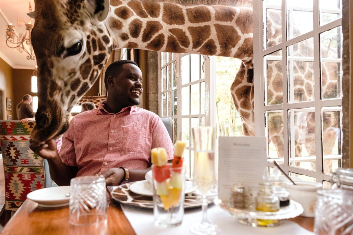 Giraffe Manor